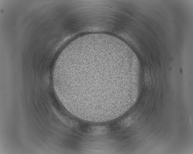 X0000067900208200605111926