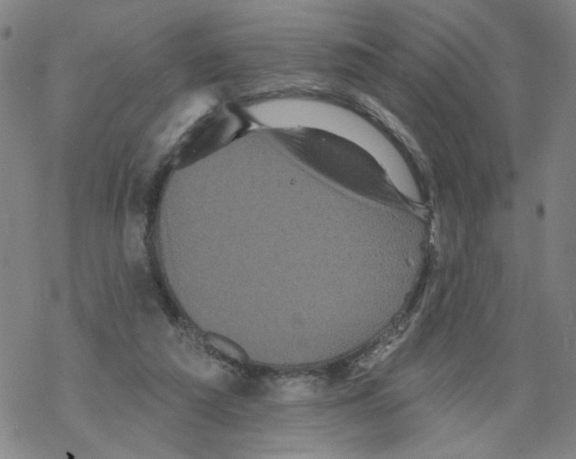 X0000067900209200605111926