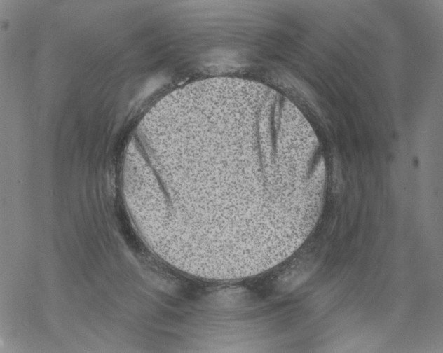 X0000067900210200605111926