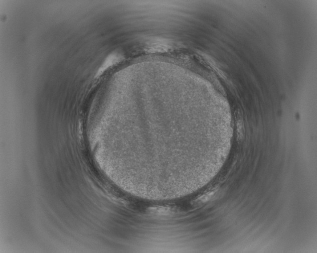 X0000067900211200605111926