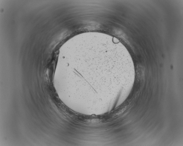 X0000067900212200605111926