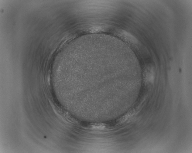 X0000067900214200605111925