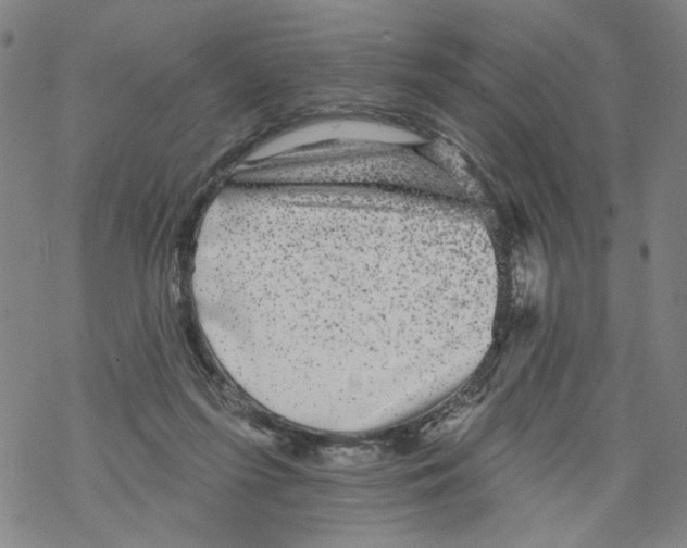 X0000067900215200605111925