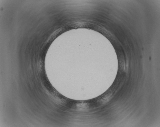 X0000067900216200605111925