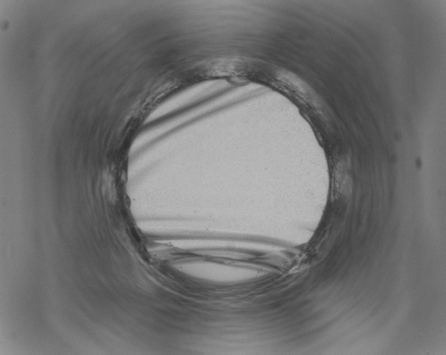 X0000067900217200605111925