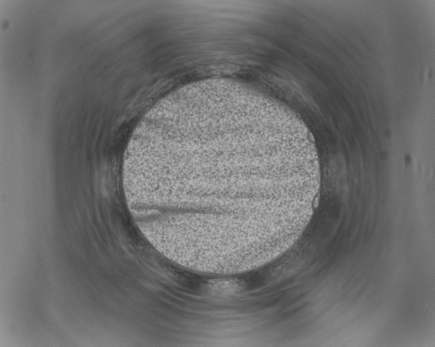 X0000067900218200605111925