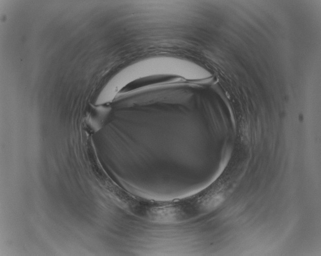 X0000067900219200605111925