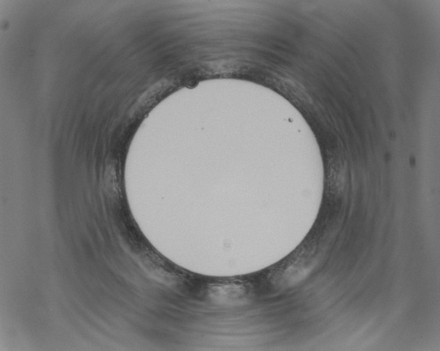 X0000067900220200605111925