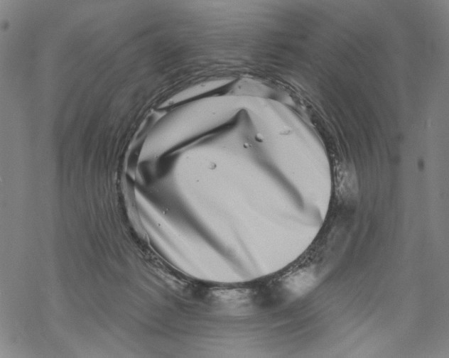 X0000067900221200605111925