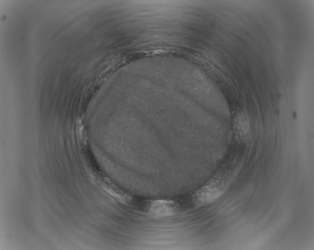 X0000067900222200605111925