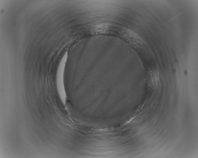 X0000067900224200605111925