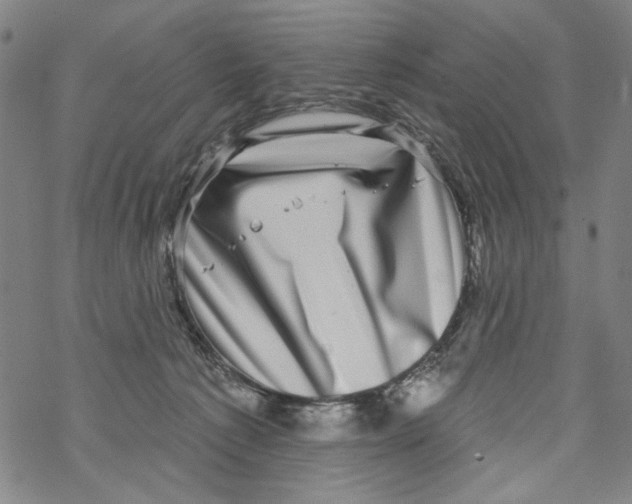 X0000067900225200605111925