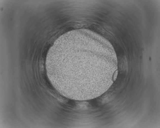 X0000067900226200605111925