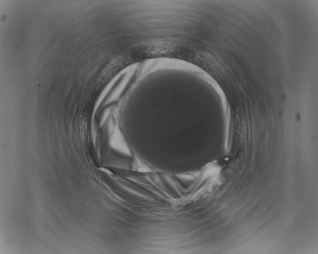 X0000067900227200605111925