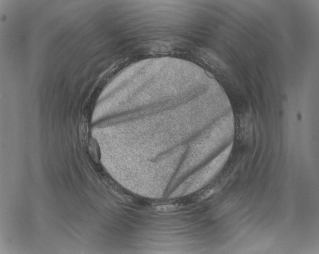 X0000067900228200605111925