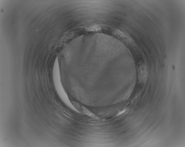 X0000067900229200605111925