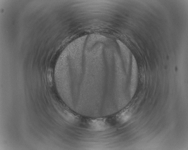 X0000067900232200605111925