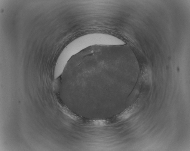 X0000067900233200605111925