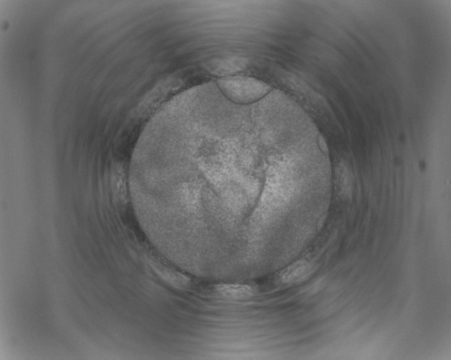 X0000067900234200605111925