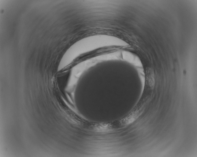 X0000067900235200605111925