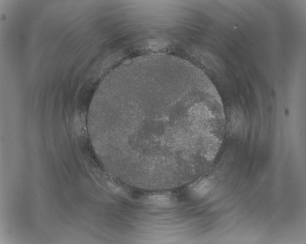 X0000067900236200605111925