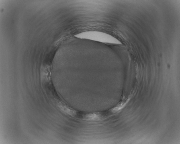 X0000067900237200605111925