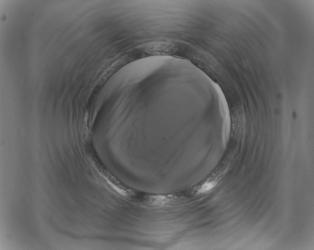 X0000067900239200605111925