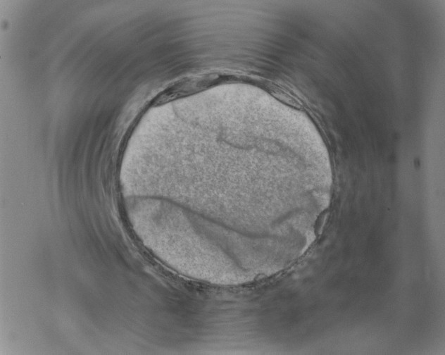 X0000067900241200605111924