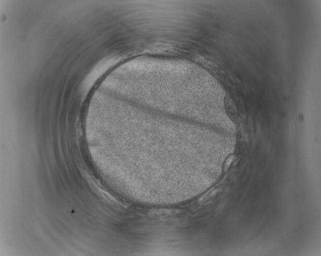 X0000067900242200605111924