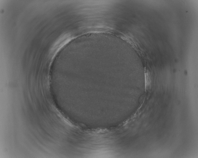 X0000067900243200605111924