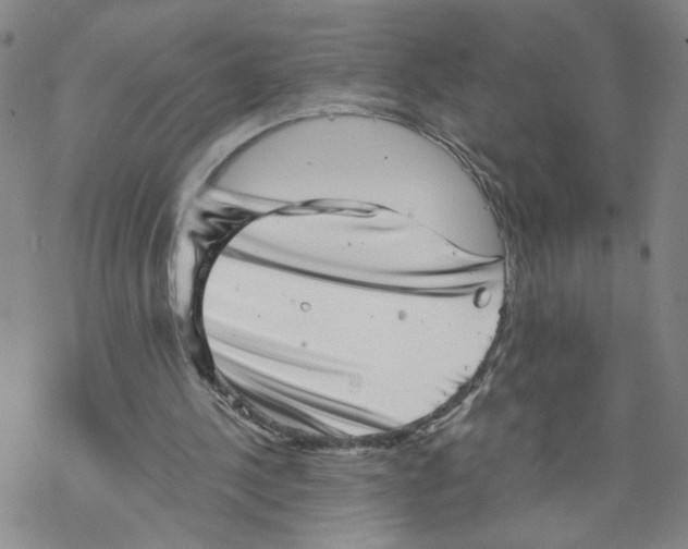 X0000067900244200605111924