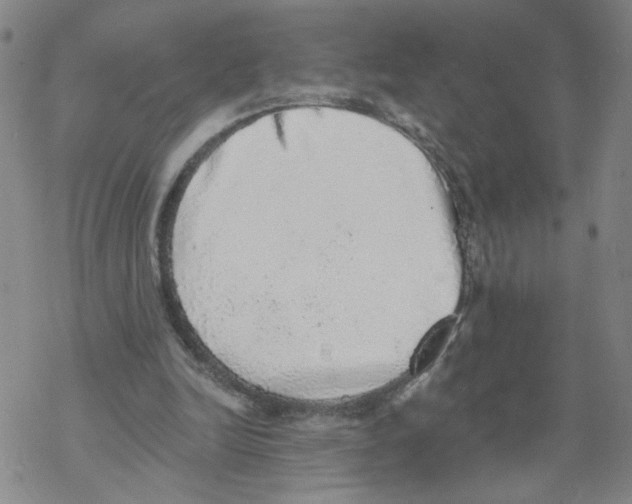 X0000067900246200605111924