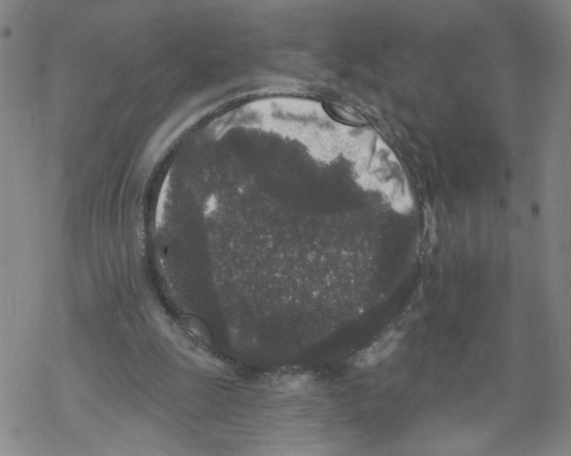 X0000067900247200605111924