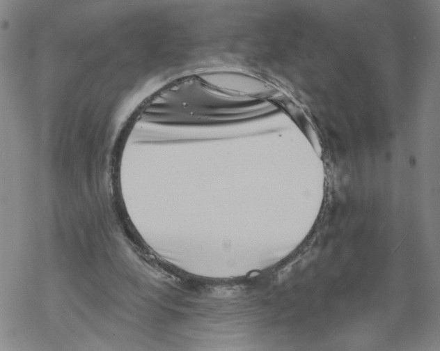 X0000067900248200605111924