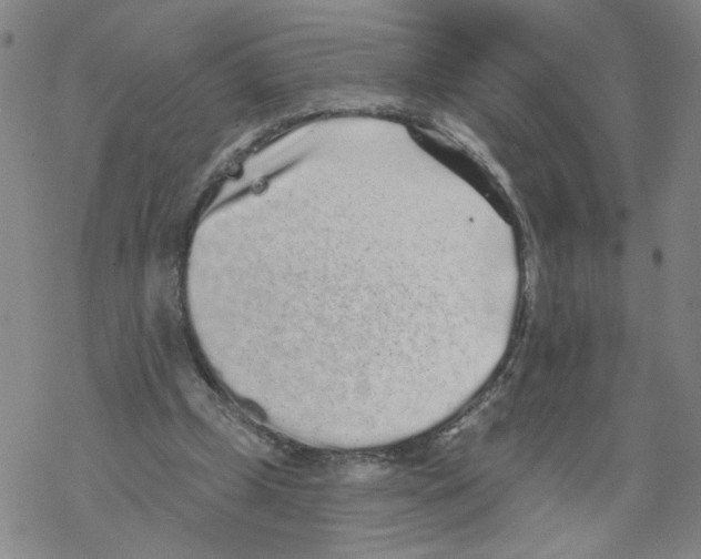 X0000067900249200605111924