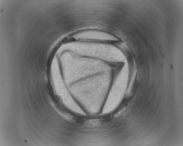 X0000067900252200605111924