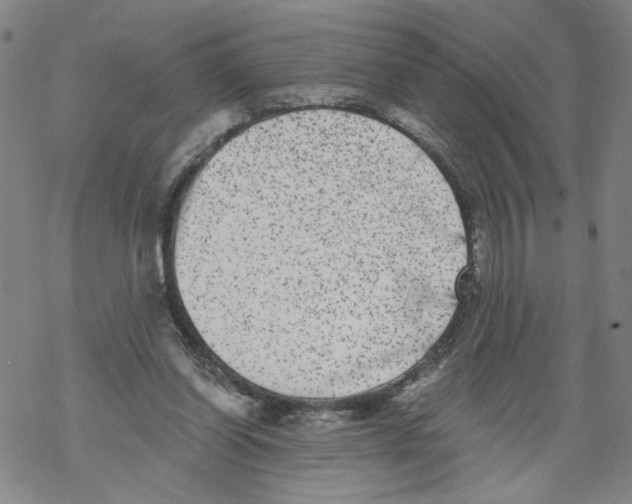 X0000067900254200605111924