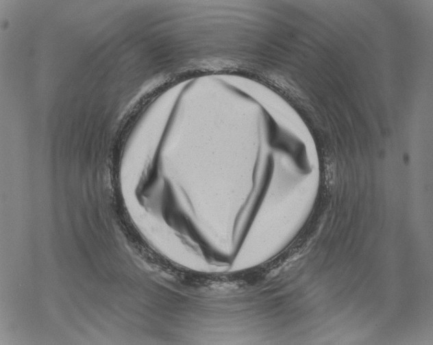 X0000067900256200605111925