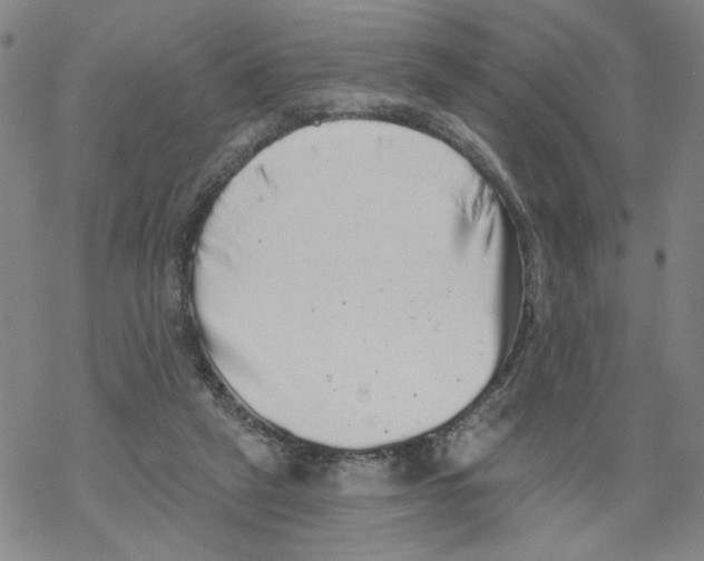 X0000067900257200605111925