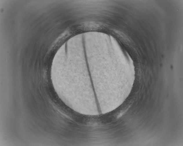 X0000067900258200605111925