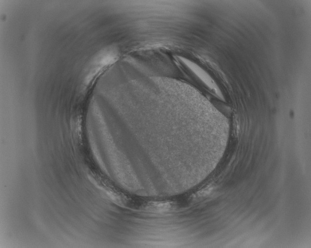 X0000067900260200605111925