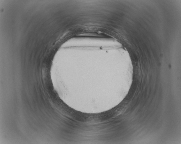 X0000067900263200605111925