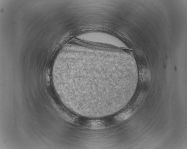 X0000067900264200605111925