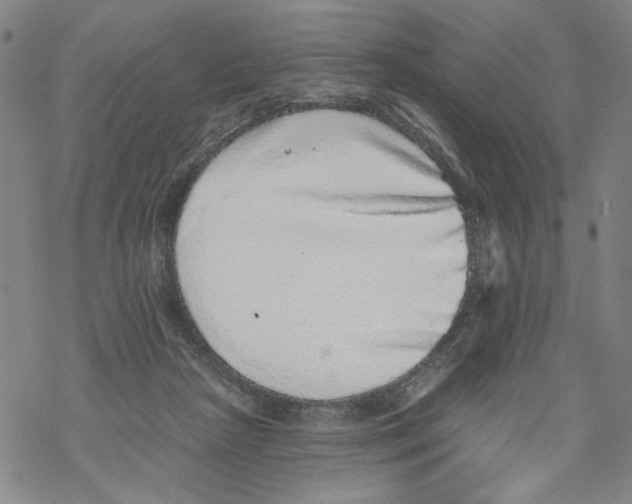 X0000067900265200605111925