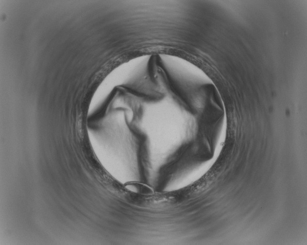 X0000067900267200605111925