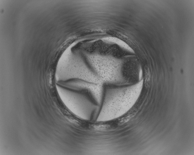 X0000067900268200605111925