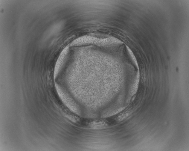 X0000067900270200605111925