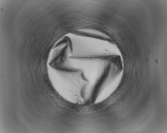 X0000067900273200605111925