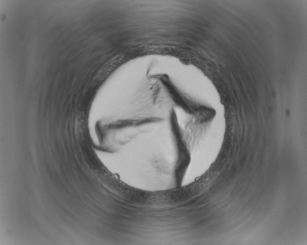 X0000067900275200605111925