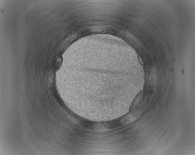 X0000067900277200605111925